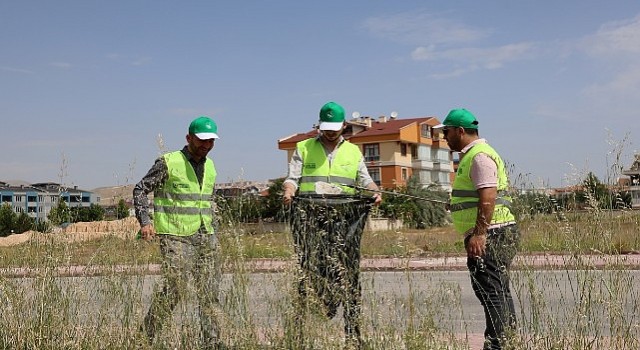 Selçuklu Belediyesi Çevre ve Sıfır Atık Platformu Çevre Haftası çerçevesinde temizlik etkinliği düzenledi