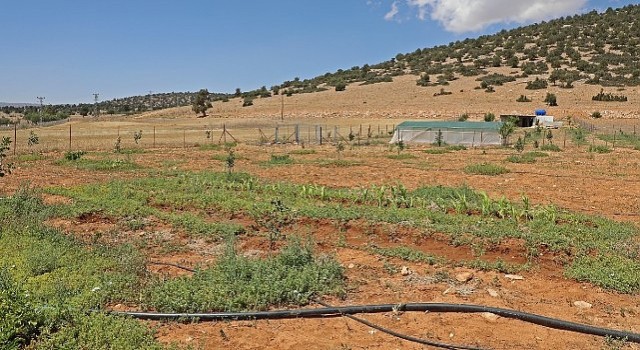 Antalya Büyükşehir Belediyesi arıtma suyunu tarımda kullandı