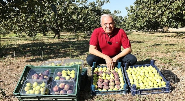 Başkan Şadi Özdemirden üreticilere kooperatif kurunçağrısı