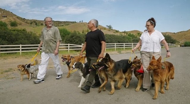 Cesar Millan: İyi İnsan, İyi Köpek 12 Ağustos Pazartesi 20.00 de National Geographic WILD Ekranlarında!