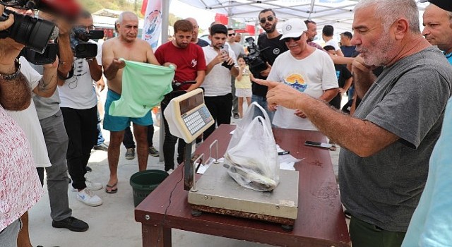 İstilacı balon balığını yakalamak için yarıştılar