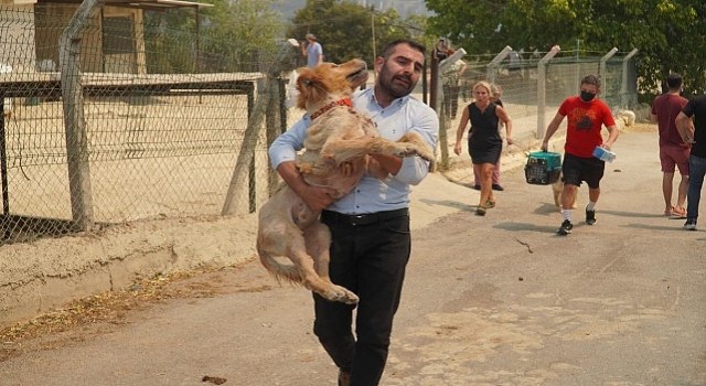 Karşıyaka nın ciğerleri yanıyor!