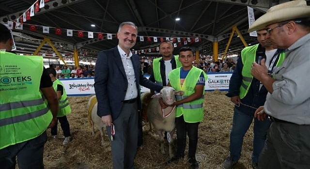 Küçükbaş Hayvancılık Festivali İçin Geri Sayım Başladı