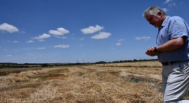 Lüleburgaz Belediyesinden 160 ton buğday hasadı