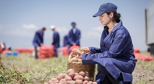 PepsiCo Türkiye den 16 Ağustos Dünya Patates Gününde ...