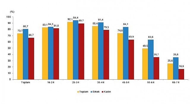 Tüik: İnternet kullanan bireylerin oranı %88,8 oldu