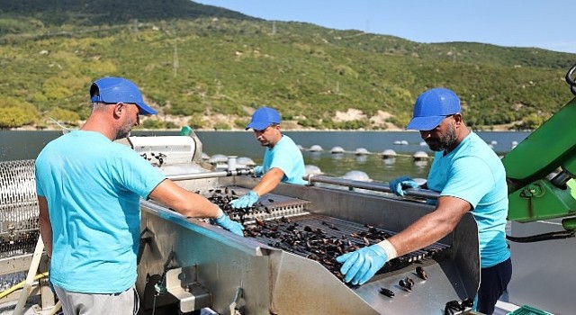 CarrefourSAdan Mavi Ekonomi ile Sürdürülebilir Deniz Ürünleri Atağı