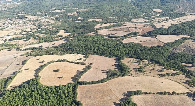 Herkes için Müthiş Yatırım Fırsatı : 99 Bin TLye Çanakkale&#39;de İlk Tarlanız Arsagodan