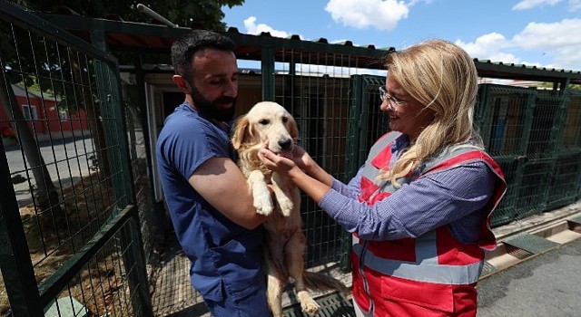 Bakırköy Belediyesi Can Dostlarının Yanında