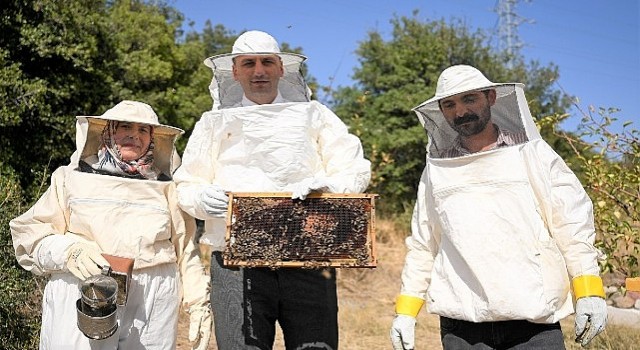 Bornovada bal gibi proje