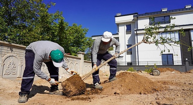 Selçukluda Yeşil Doku Güçlendiriliyor