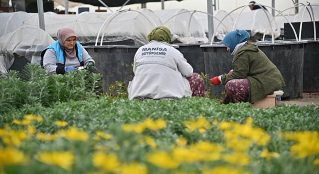 Büyükşehir, Manisanın Suyunu Korumak için Çalışıyor