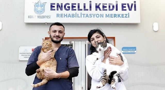 Konak ın engelleri aşan Kedi Evi nden sahiplenme çağrısı