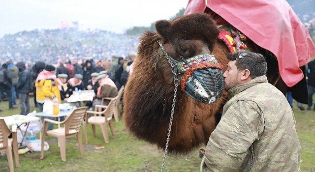 43. Uluslararası Efes Selçuk Deve Güreşleri Festivali Heyecanı Başlıyor!