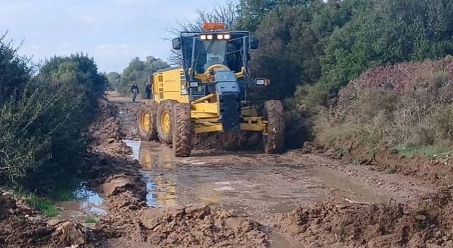 Didim belediyesi, üreticinin yanında olmaya devam ediyor