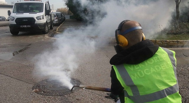 Kocaeli sineksiz bir yıl geçirdi; Vektörle mücadelede 1 milyon noktaya müdahale