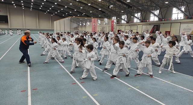 Osmangazide karate eğitim semineri