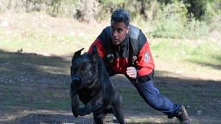 İtfaiyenin yedi köpeği hayat kurtarıyor