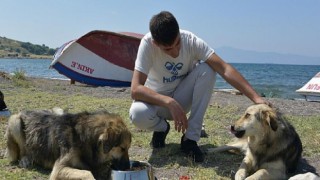 Aliağa Belediyesi Sevimli Dostlar İçin Görev Başında