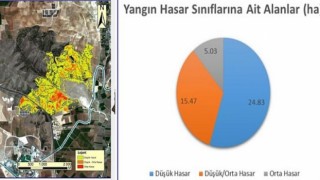 Harran Üniversitesi’nden Orman Yangınları ile İlgili Önemli Rapor