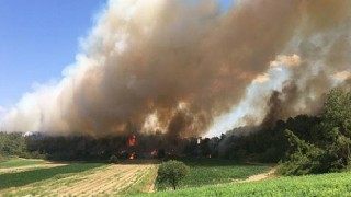 Manavgat ve Burdur Bucak’ta orman yangını