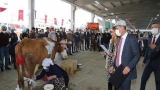 Gölbaşı Belediyesi; AGROTEC Tarım Fuarı’nda Süt Sağma Yarışması..