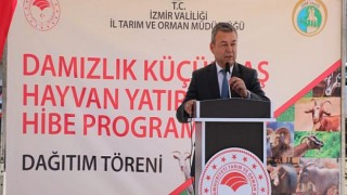 İzmirli Üreticilere 4 bin 800 Küçükbaş Hayvan Hibe Edildi