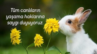 Uzmanlar uyarıyor: “Vegan Beslenenlerde Düzenli Besin Takviyesi Kullanımı Büyük Önem Taşıyor”