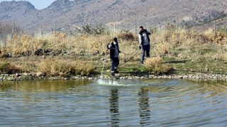 Aliağa Belediyesi Vektörle Mücadelesini Sürdürüyor