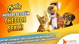 Cheetos ve Getir’den Sokak Hayvanları için anlamlı iş birliği