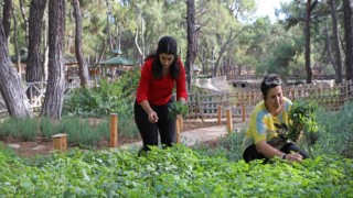 Hayvanat Bahçesi’ne aromatik bitkili ’Koku Bahçesi’ kuruldu