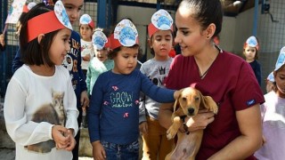 İzmir’de sokak hayvanları için büyük işbirliği