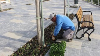 Manavgat Türkbeleni’nde kış hazırlığı