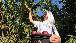 Anadolu Etap Üçüncü Sürdürülebilirlik Raporunu Yayınladı