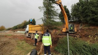 Büyükşehir, ağaçları yeniden toprakla buluşturuyor