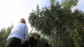 Büyükşehir ‘Tarlanıza Geliyoruz’ projesi ile Üreticilere Kazandırmaya Devam Ediyor