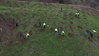 Büyükşehir’den Gölcük Hisareyn’e bal ormanı