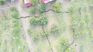 Germencik’teki Çatlakların Kuraklık Kaynaklı Olduğu Değerlendirildi