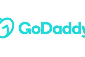 GoDaddy, en popüler dört alan adı uzantısını paylaştı 