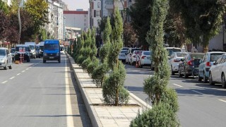 Sıhke Caddesi’nin Çehresi Değişti