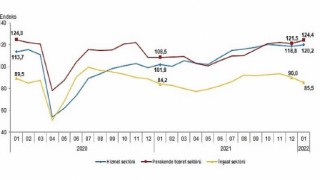 Hizmet, Perakende Ticaret ve İnşaat Güven Endeksleri, Ocak 2022