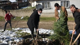 Başkan Kanar, liseli gençlerle birlikte fidan dikti