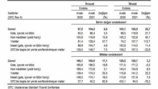 Dış Ticaret Endeksleri, Aralık 2021