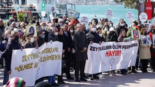 Ayvalık’ta Zeytinlikleri Yok Edecek Yönetmeliğe Tepkiler Dinmiyor