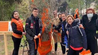 Kadına Yönelik Şiddete “Zeytin Ağacı” ve “Turuncu” Farkındalık