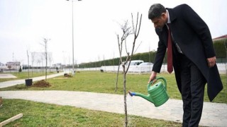 Kartepe’de Kiraz ve Vişne Yılı