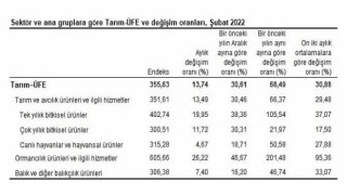 Tarım ürünleri üretici fiyat endeksi (Tarım-ÜFE) yıllık 68,49, aylık 13,74 arttı