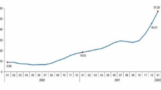 Tarımsal girdi fiyat endeksi (Tarım-GFE) yıllık 57,26, aylık 10,12 arttı