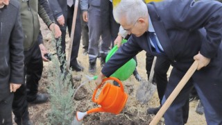 Türkiye - Kore dostluğu 580 bin fidanla kökleşti