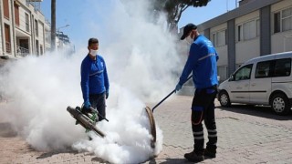 Didim Belediyesi İlaçlama Çalışmalarına Başladı